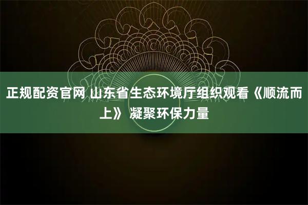 正规配资官网 山东省生态环境厅组织观看《顺流而上》 凝聚环保力量